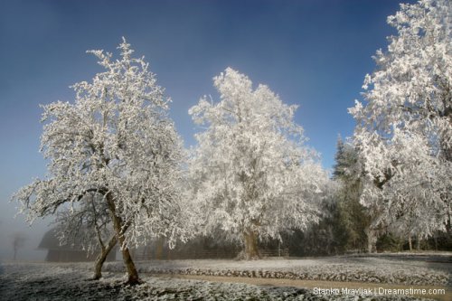 Учебник фотошоп